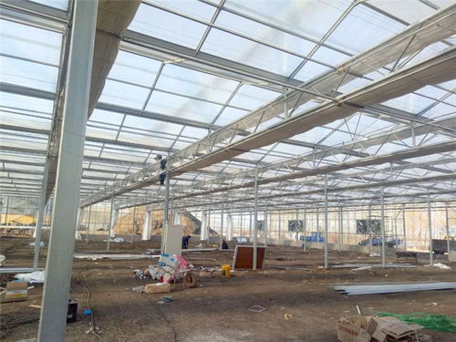 玻璃溫室設(shè)計(jì)與配套 青州瀚洋農(nóng)業(yè)的專業(yè)解決方案